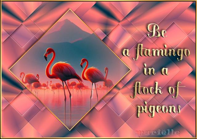 flamingo2-4-7-25.jpg